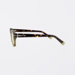sunglasses ji 2011s